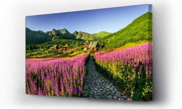 góry, Hala gasienicowa, Hala gąsienicowa sunrise, pejzaż, Polskie góry