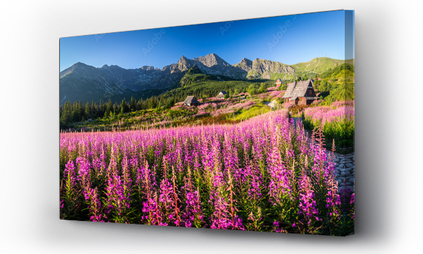 góry, Hala gasienicowa, Hala gąsienicowa sunrise, pejzaż, Polskie góry