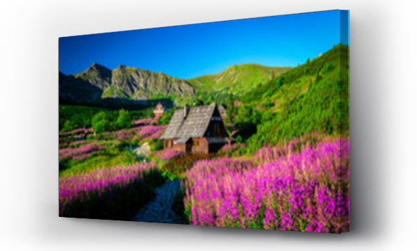 góry, góry fiolet, Hala gasienicowa, Hala gąsienicowa sunrise, pejzaż, Polskie góry, Tatry, wschód słońca, zakopane