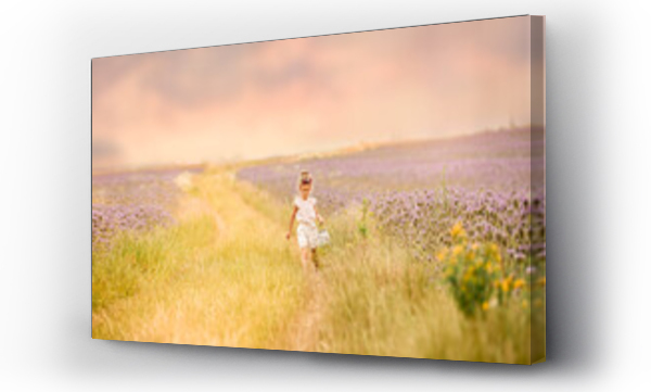 Kwiaty, łąka, Łąka kwiaty