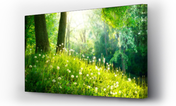Wizualizacja Obrazu : #52445445 Wiosna Natura. Piękny krajobraz. Zielona trawa i drzewa