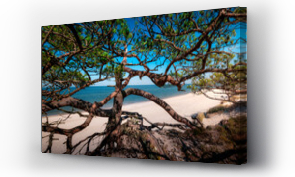 Bałtyk, Krajobrazy, morze, Morze baltyckie, morze bałtyckie, plaża, Plaża ocean