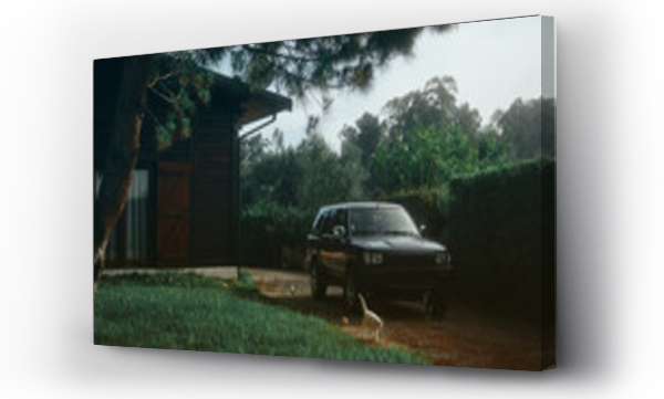 Wizualizacja Obrazu : #527128875 vintage car in driveway surrounded by trees