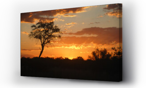Wizualizacja Obrazu : #527247901 sunset and cloudscape over serengeti national park in africa