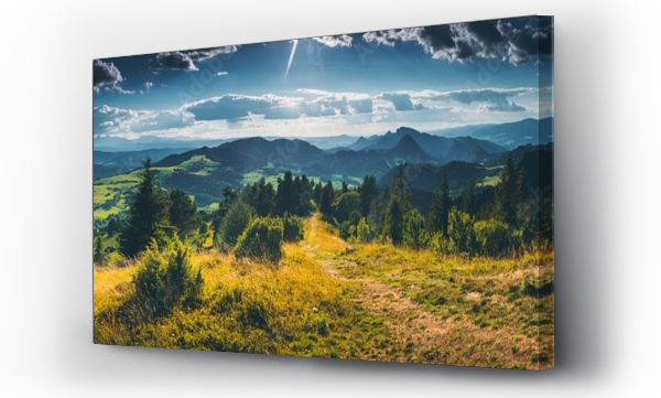 Wizualizacja Obrazu : #527858239 Panorama z Wysokiego Wierchu - Pieniny, Polska