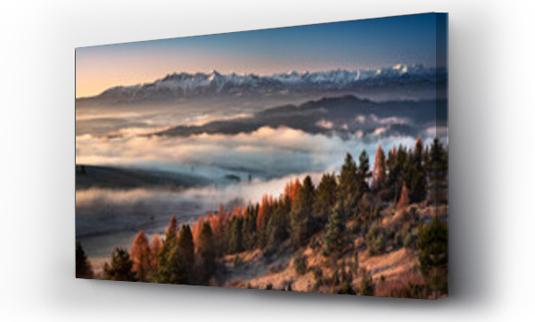 góra, góry, krajobraz, Liście, Tatry, tatry zima, zakopane