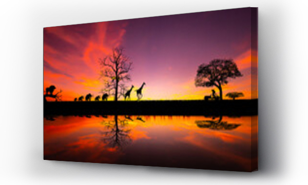 Wizualizacja Obrazu : #528014222 sunset and sunrise.Panorama silhouette tree in africa with sunset.Safari theme.