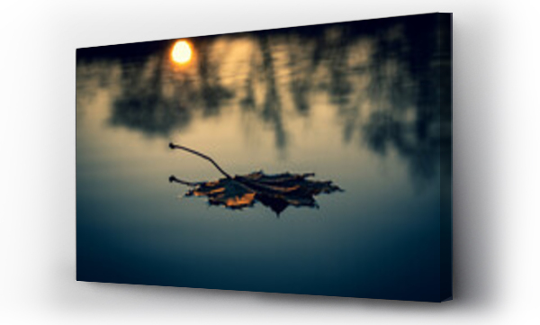 Wizualizacja Obrazu : #528063224 Jesienne krajobrazy