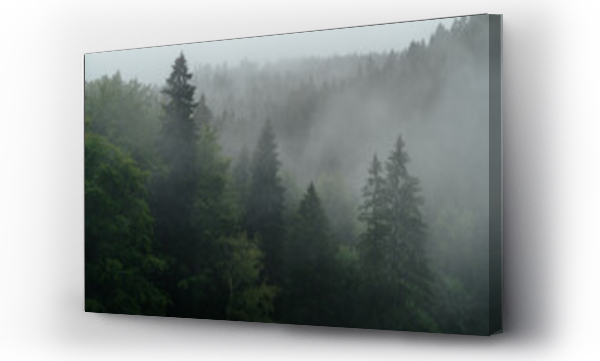 drzewa, góry, Las w mgle