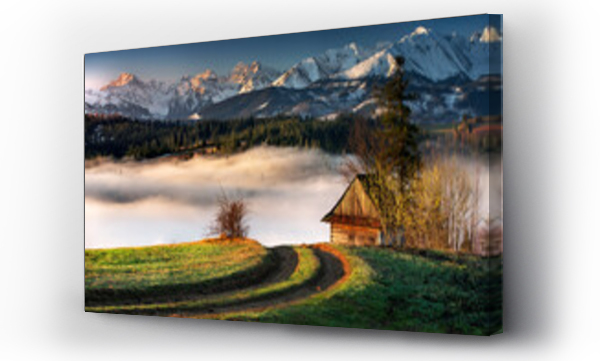 góry, Polskie góry, łąka