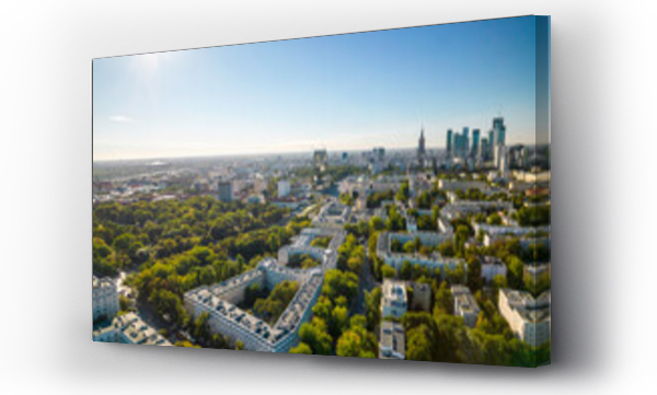 ludzie, miasto, zwierzęta