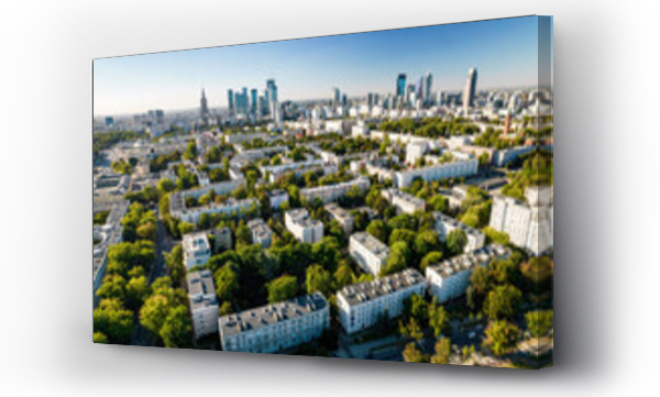 ludzie, miasto, widok, zwierzęta