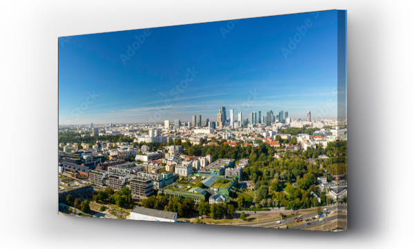 ludzie, miasto, zwierzęta