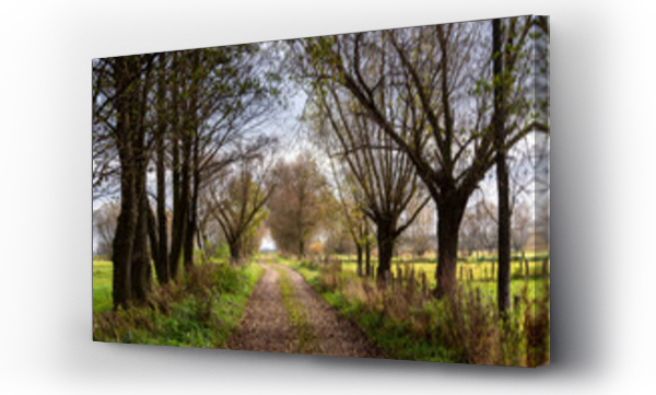 Wizualizacja Obrazu : #529790021 Malownicze jesienne krajobrazy Podlasia, Polska