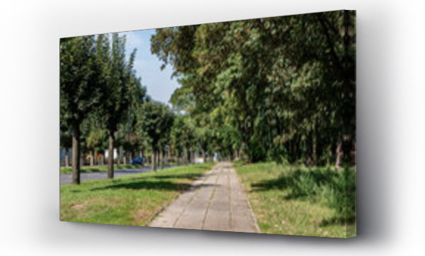 Wizualizacja Obrazu : #531023655 Chodnik ci?gn?cy si? przez park o letniej porze w obszarach podmiejskich zachodniej Polski