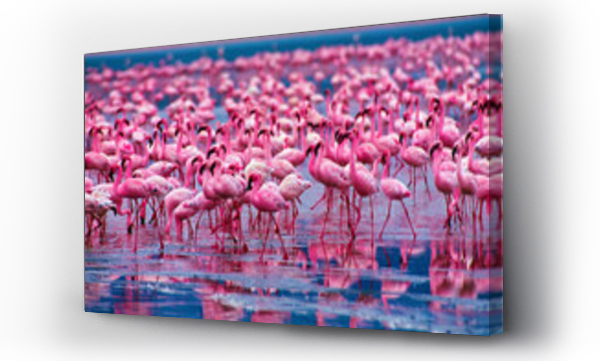Wizualizacja Obrazu : #532283323 Flamingos in Ngorongoro Crater National Park.Tanzania, Africa.