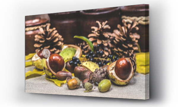 jesień, jesienne, Liście