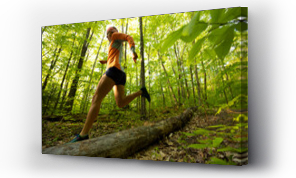 Wizualizacja Obrazu : #533796279 woman running in a sunny spring green forest