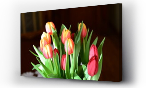 Wizualizacja Obrazu : #534305956 fresh tulips in a vase , nature, tulipany, kwiaty, kwiaty w wazonie, Poland