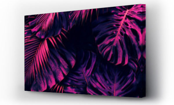 Wizualizacja Obrazu : #534562881 Tropical leaves, light and shadow of palm and monstera foliage, purple color toned