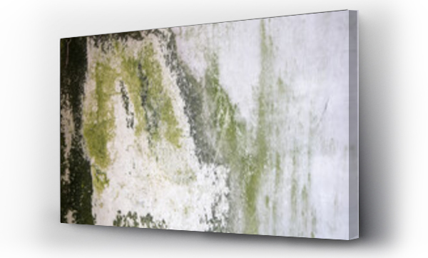 Wizualizacja Obrazu : #534572446 Stara zabrudzona ?ciana, Tekstura, odcienie szaro?ci. Tynk strukturalny, zabytek