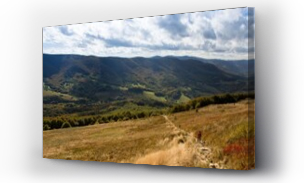 Wizualizacja Obrazu : #535710145 Bieszczadzkie krajobrazy jesieni?