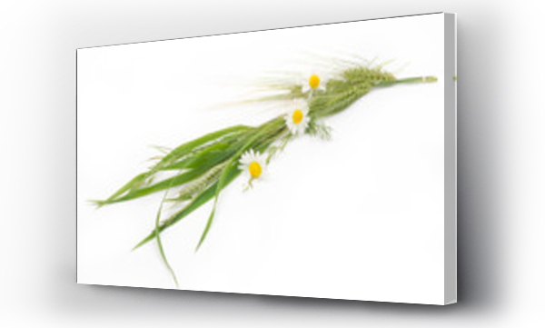 Kwiaty, Kwiaty polne, polne kwiaty