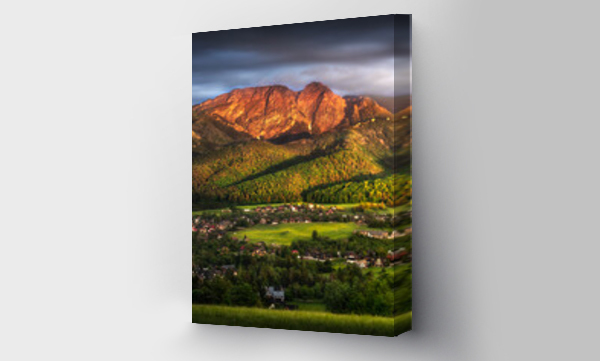 góry, jesień, jesień tatry, jesień tatry góry, jesień zakopane, krowy, Liście, Panorama Tatr, Tatry, wschód, wschód słońca, zakopane