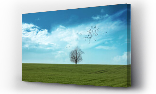 Wizualizacja Obrazu : #537181943 samotne drzewo na ?rodku pola na tle pi?knego nieba	i lec?ce ptaki