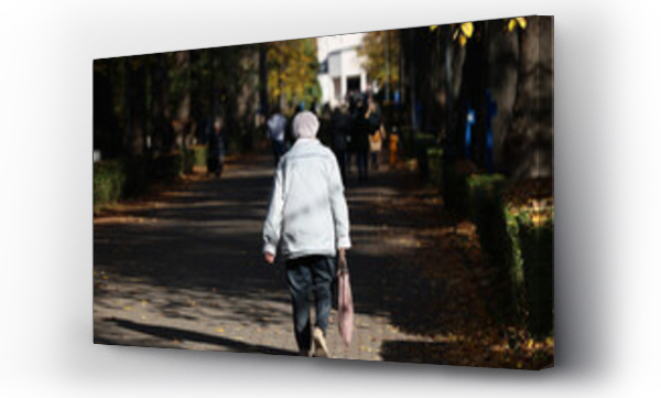 Wizualizacja Obrazu : #539835205 Starsi ludzie spaceruj? jesienn? alejk? na cmentarzu. 