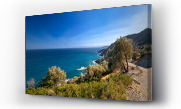 Wizualizacja Obrazu : #541064014 Klifowe wybrze?e na greckiej wyspie Evia