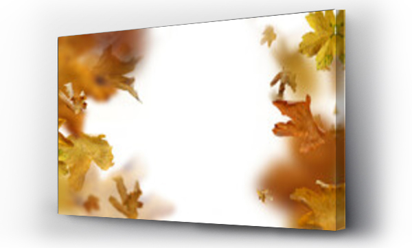 Wizualizacja Obrazu : #542875672 falling autumn leaves as a foreground, png, li?cie 