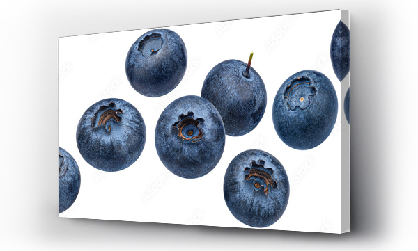 Wizualizacja Obrazu : #544386236 Blueberry berry isolated