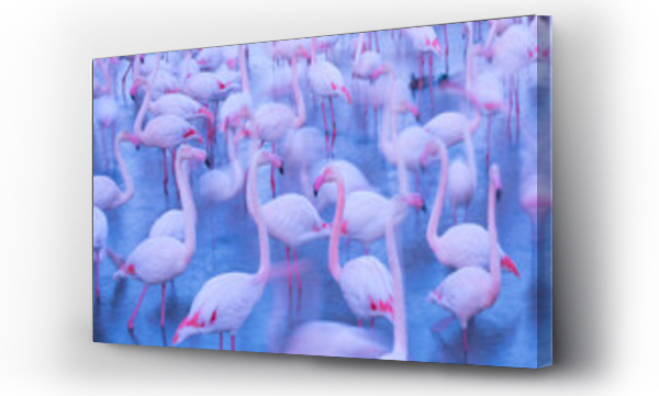 Wizualizacja Obrazu : #551573701 Greater flamingo (Phoenicopterus roseus) flock blurred, Camargue, France.