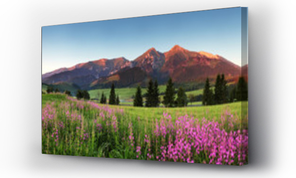 Wizualizacja Obrazu : #55517223 Beauty mountain panorama with flowers - Slovakia