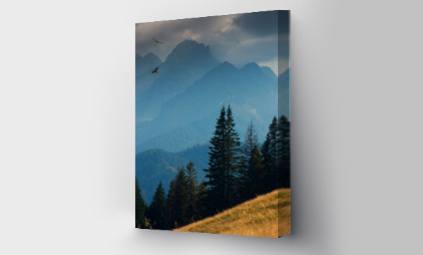 Panorama Tatr, pejzaż