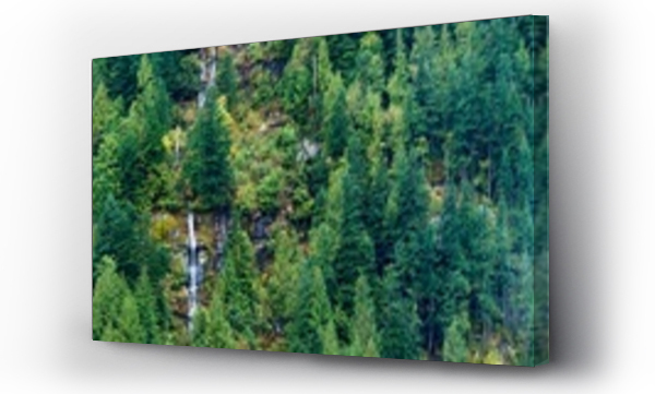 Wizualizacja Obrazu : #555484323 Panorama of green foliage in a forest in the Okanagan with waterfalls flowing over the mountainside; British Columbia, Canada