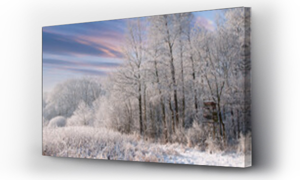 Wizualizacja Obrazu : #555966489 Zimowe krajobrazy. o?nie?one drzewa ,za?nie?ony las i skute lodem rzeczki.