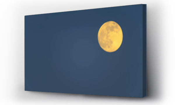 Wizualizacja Obrazu : #556008577 Full moon in a night blue sky over Burgenland in Austria