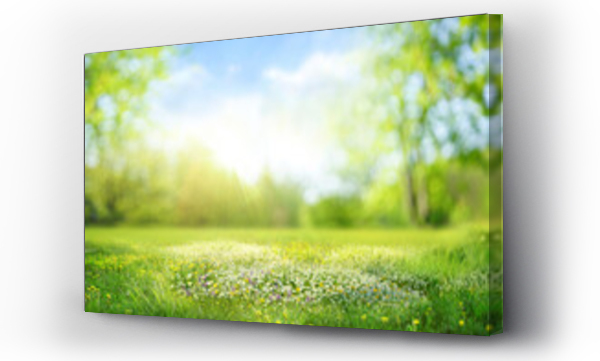 las, lato, natura, park