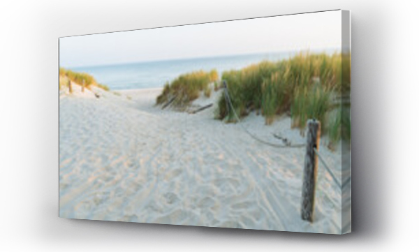 Bałtyk, morze, plaża, trawa