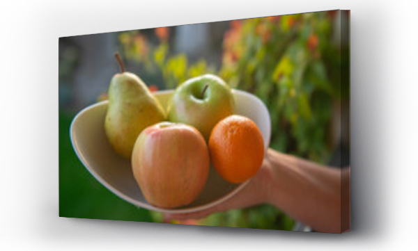 Wizualizacja Obrazu : #560486781 Close-up of a person holding a Bowl of Fresh fruit