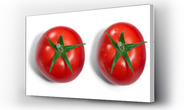 Wizualizacja Obrazu : #561794512 Single fresh ripe round tomato with sepal, with and without dewdrops, top view isolated png