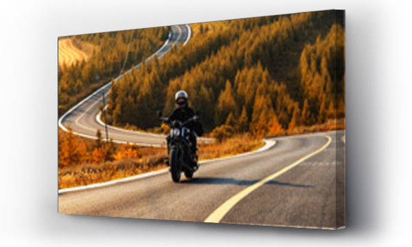 Wizualizacja Obrazu : #563796385 Young woman riding a motorcycle in the autumn suburbs
