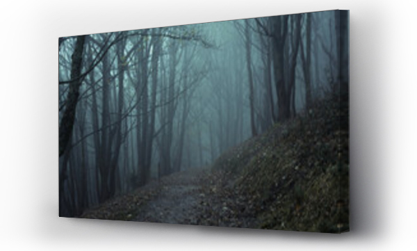 Wizualizacja Obrazu : #564904370 A path in a spooky forest in winter