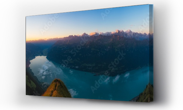 Wizualizacja Obrazu : #564930033 Swiss alps panorama