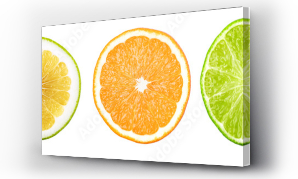 Wizualizacja Obrazu : #565933142 Grapefruit citrus fruit