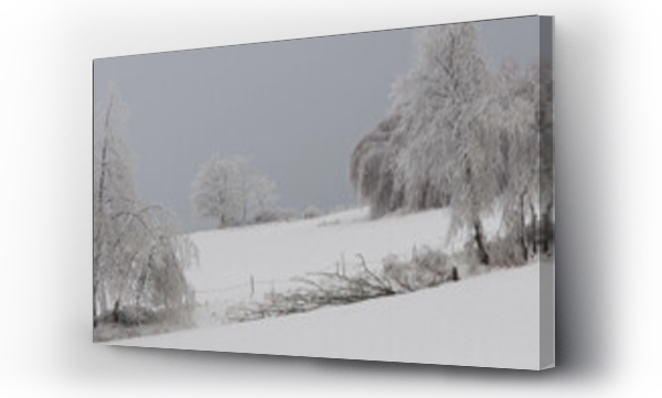 Wizualizacja Obrazu : #567070870 Zima i krajobrazy zimowe, ?nieg w g?rach, mrozy w polsce, zimowe krajobrazy.