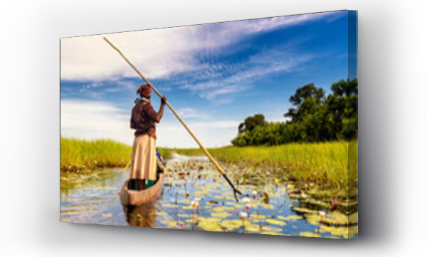 Wizualizacja Obrazu : #567091082 In the dugout canoe through the Okavango Delta, Botswana