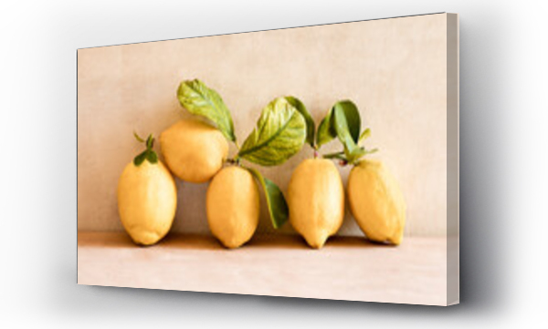 Wizualizacja Obrazu : #568959751 Lemons citrus fruit 